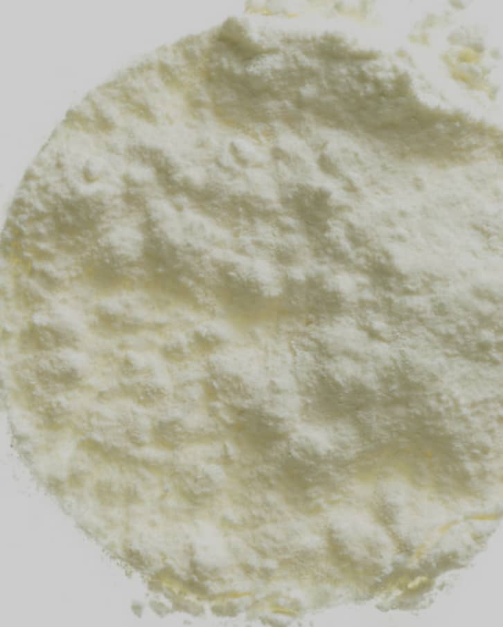 Whole Milk Powder